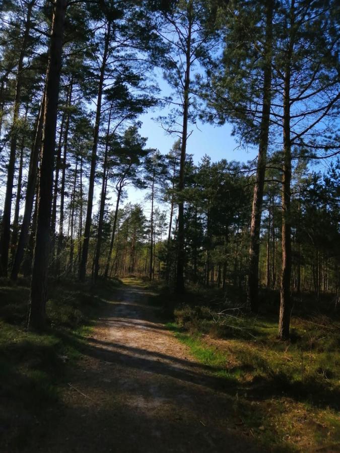 Domek Na Lesnej Pogorzelica  Kültér fotó