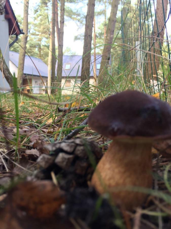Domek Na Lesnej Pogorzelica  Kültér fotó